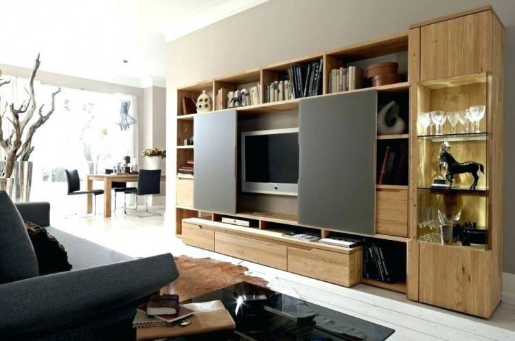 Showcase Designs For Living Room Beautiful Astonishing Showcase